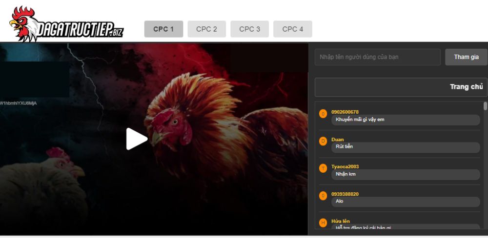 Xem đá gà Thomo trực tiếp tại dagatructiep.biz